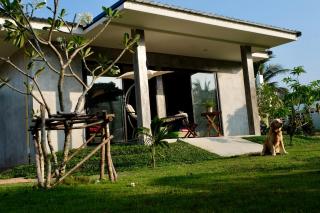 Destination39 - Thalang - 7