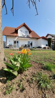 Ferienhaus Antiquarius - 6