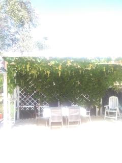 Villa Oleandro Pergola - Vieste - 4