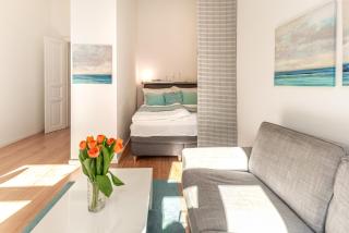 Luxurious and Bright, 5 min to city center - 0