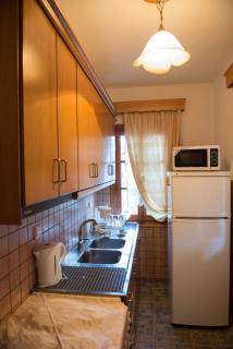 La Petri Studios with Fireplace & View - Metsovo - 3
