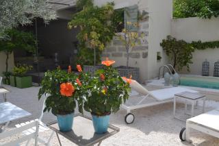 Mas À l'Improviste - Saint-Rémy-de-Provence - 1