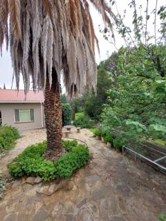 Three Sons Guest Farm - Loxton - 4