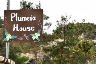 PLUMERIA HOUSE - Archangelos - 6