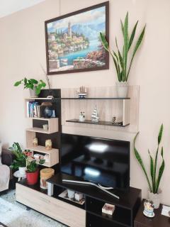 Napier Apartment - 1