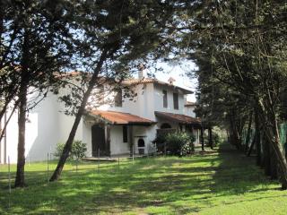 Viale Algeria 94 - Lido delle Nazioni - 0