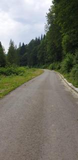 Pensiunea Giulia - 1