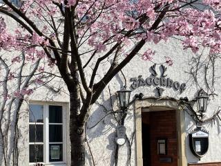 Hotel Jägerhof - Coesfeld - 0