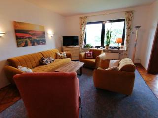Rainer´s Rheinblick - Oberdiebach - 2