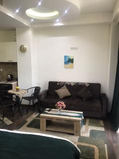 luxury studio ortachala Tbilisi - 4