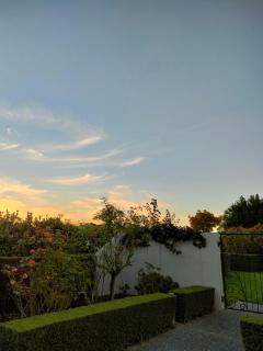 Camcott Farm - Masterton - 1