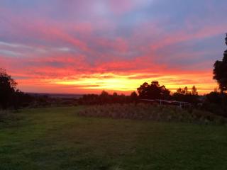 Ngā Whare Mānatu - 8