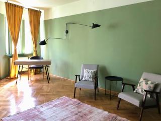 Apartment No5 Sibiu - Sibiu - 8