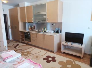 Studio Detelina Residence - Bansko - 0