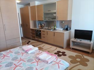 Studio Detelina Residence - Bansko - 4