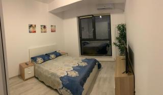 Ray Luxury Apartment Close to Presidential Palace - Bucarest - 8