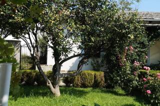 Villa Katia with Sea view, Pourion, Zagora - Pouríon - 4
