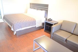 Regency Inn Humble IAH - Intercontinental - Humble - 9
