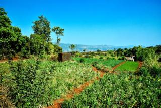 MERIDIAN VILLA - Besides Valley View with Swimming pool & Strawberry Farms - Mahabaleshwar - 9