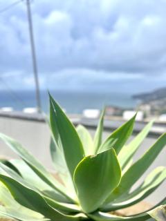 Villa Cassolino - Ribeira Brava - 1
