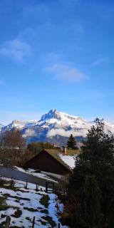 Beautiful Apt With Balcony At Combloux ! - Combloux - 2
