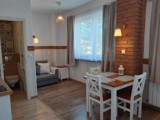 Apartamenty nad Jeziorem - Międzybrodzie Żywieckie - 3