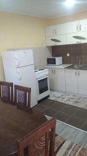 Apartman nidzo - Bajina Bašta - 8