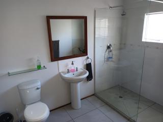 Fig Tree - Colesberg - 8