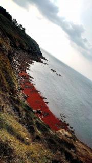 KER GOH VELIN - Saint-Gildas-de-Rhuys - 2