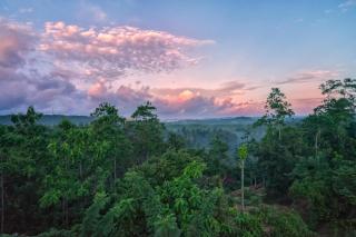 Villa Amma Erna - Galle - 3