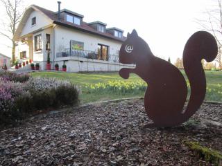 Le Relais des Fagnes - Sart-lez-Spa - 0