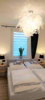 Apartament Botanika - 5