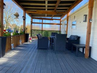 Cheerful and relaxing chalet Viena(Park deHorn824) - Dirkshorn - 1