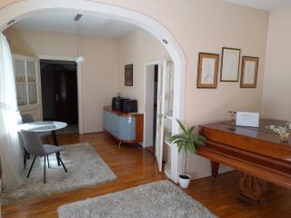 DR Apartment - Novi Sad - 9