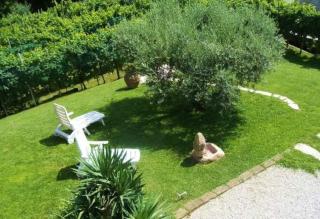 Le Perine - Valdobbiadene - 0