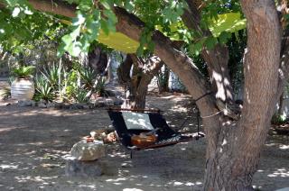 Spitaki - House with Garden by the Beach - Pefki - Pefkos - 8