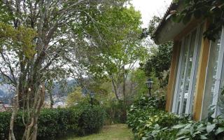 Casa Solda, una casa con piscina en Gondomar - 3