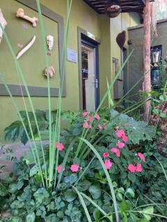 The Ranch Guesthouse - Potchefstroom - 6