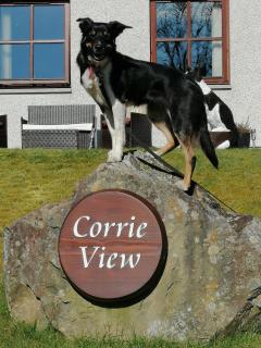 Corrie View - 9