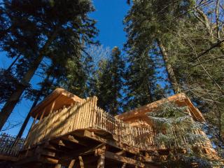 Domaine de l'Authentique Cabanes dans les arbres - Fournet-Blancheroche - 0