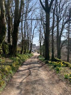 Lydgate House Hotel - Postbridge - 1