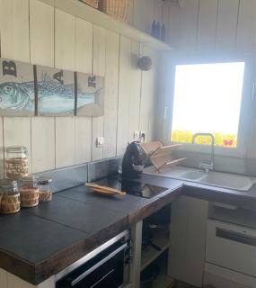 La cabine en bord de mer - Plérin - 4