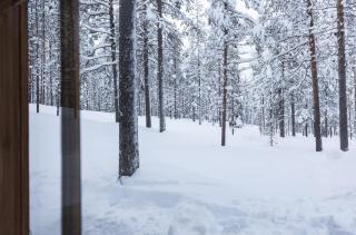 Pyhä Saukonpiilo - Pelkosenniemi - 3