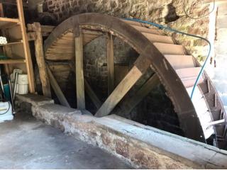 Woodmill Farm Cottage - Alvington - 6