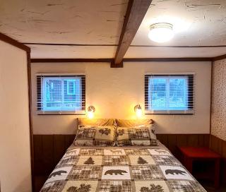 The Aspen Cabin - Wilmington - 4