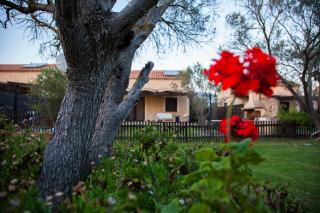 5 Stars Villas - Svoronata - 6