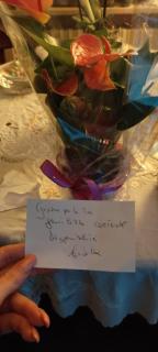 B&B Ammore - Castellammare di Stabia - 8