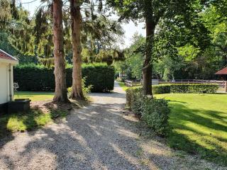 Midden in de Friese bossen op landgoed Princenhof - Oranjewoud - 2