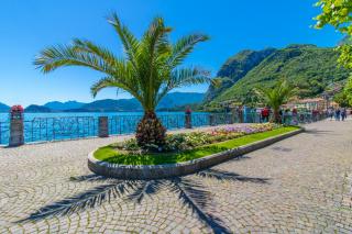 Apartment delle Rose - Menaggio - 0