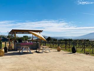 The Pangea Valle de Guadalupe - Valle de Guadalupe - 4